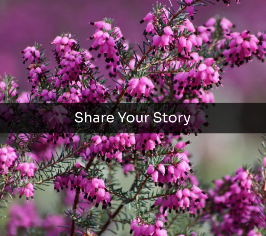 Share your story!